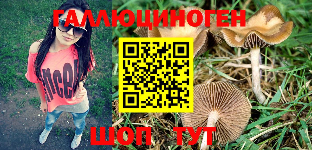 Псилоцибиновые грибы Cubensis  Вход с VPN  Карталы 