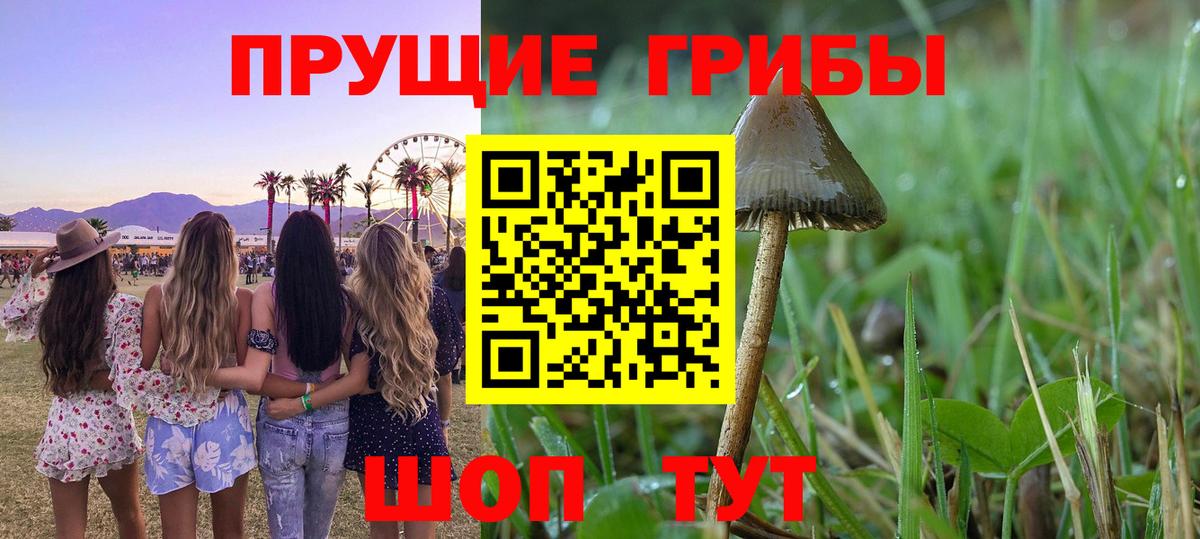 Галлюциногенные грибы Magic Shrooms Карталы